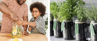 father ad son adding fresh herbs to water and jars of various herbs on counter