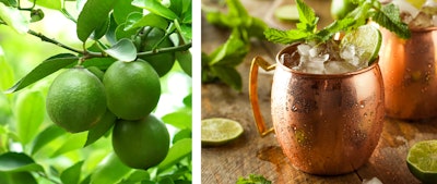 lime on tree and moscow mule adorned with lime