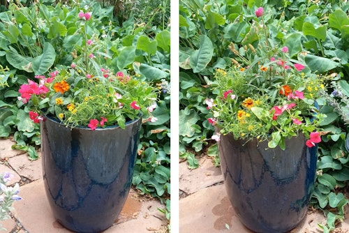 2 views of the Mesa store's Summer Container Recipe.