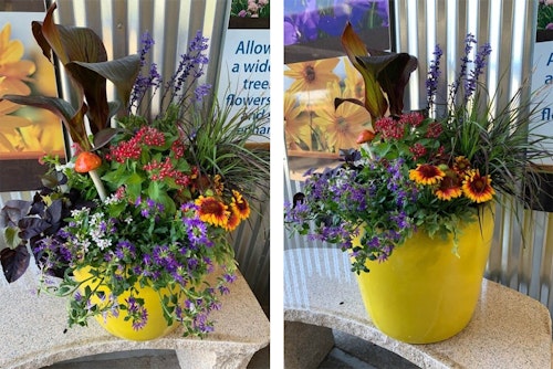 2 views of the Phoenix store's Summer Container Recipe.