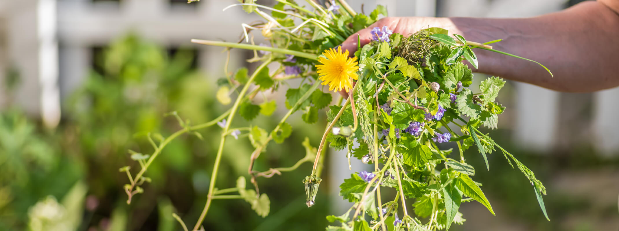 woman holding a bunch of weeds