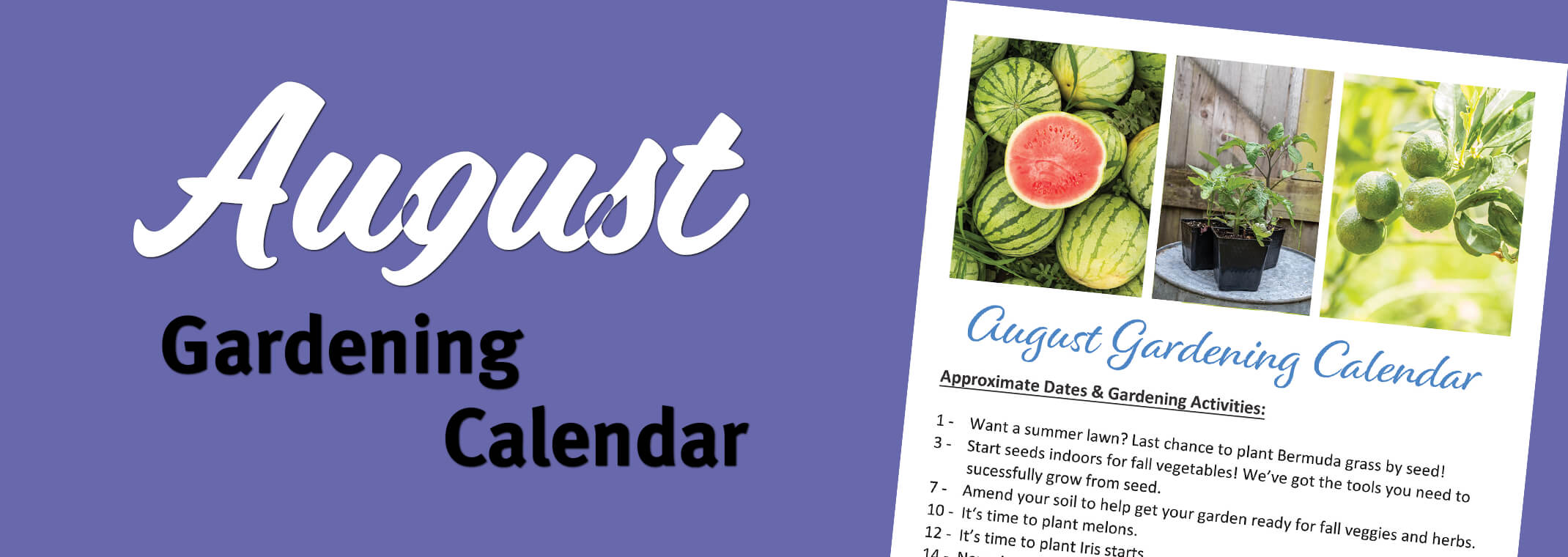 August Gardening Calendar Arizona SummerWinds Nursery
