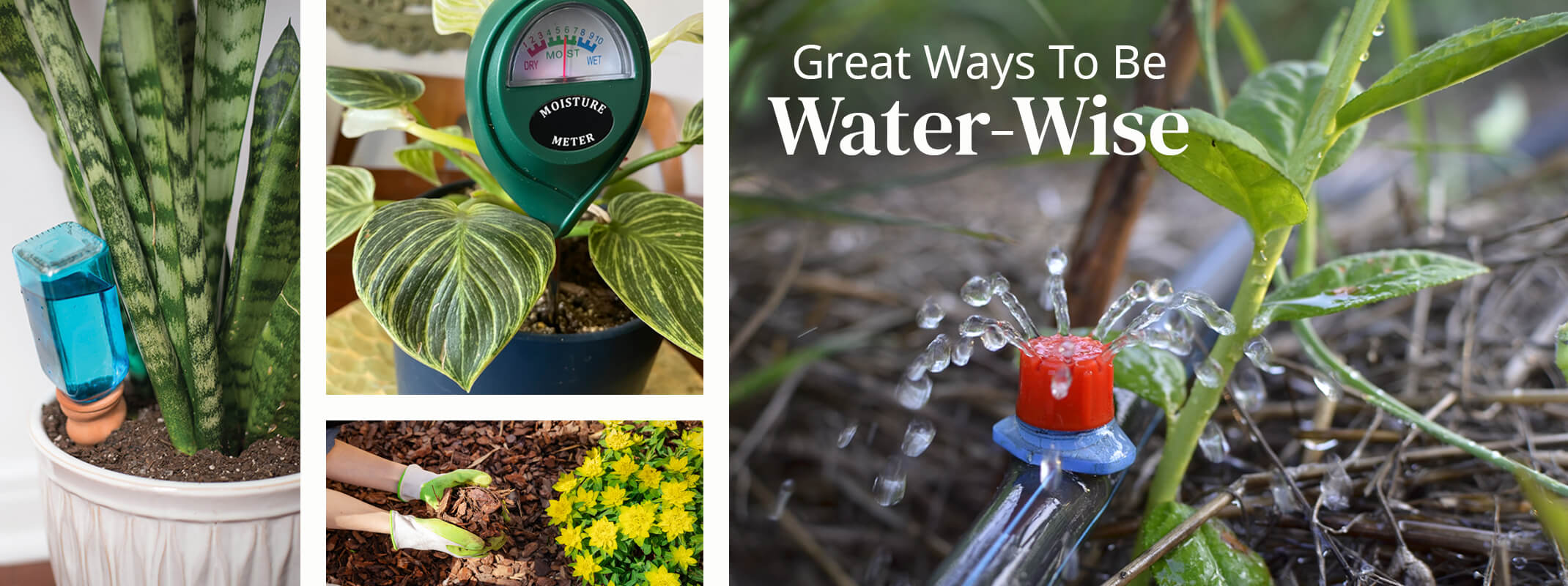 Water wise gardening and products to support, meter, drip system, mulch, plant pal