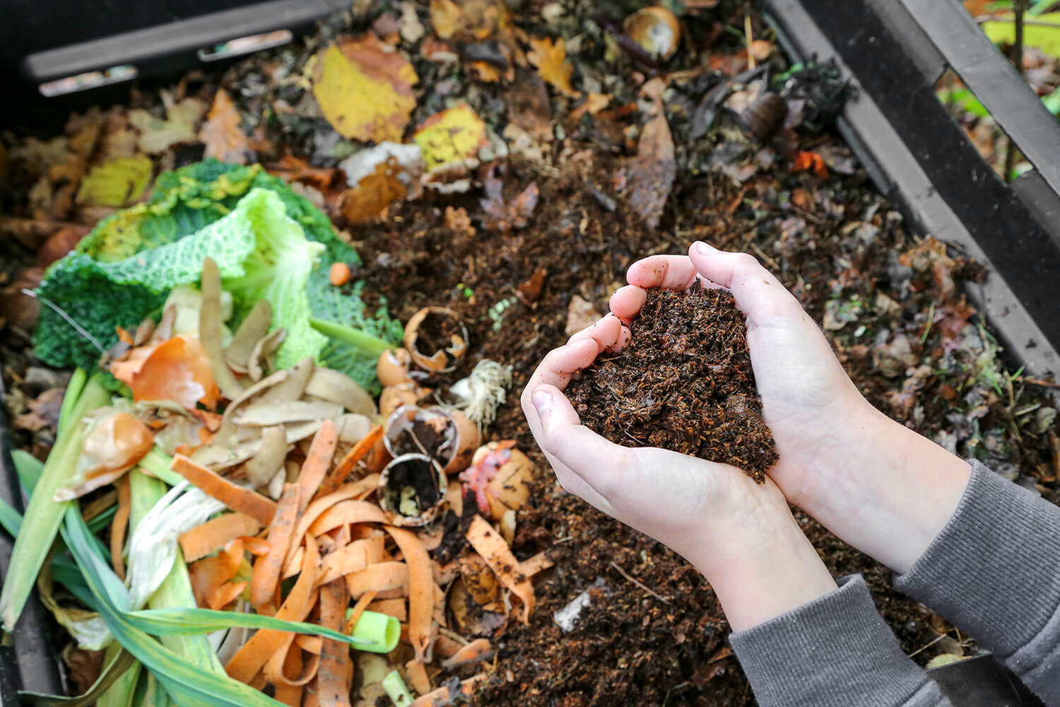 person holding composted dirt over composter full of dirt and food scraps