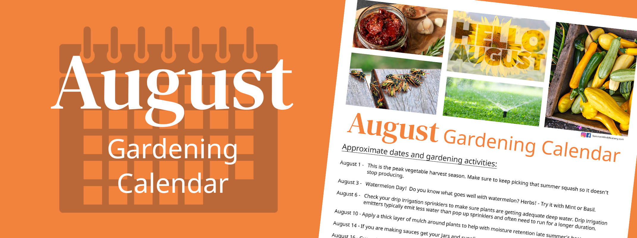 August gardening calendar banner