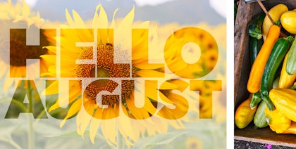 hello august on sunflower and squash all for august gardening calendar