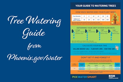 Text that reads Tree Watering Guide from Phoenix.gov with a snapshot of the handout.