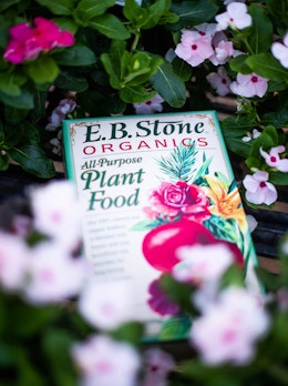 E.B. Stone Organics All-Purpose Plant Food surrounded by light and bright pink vinca flowers.