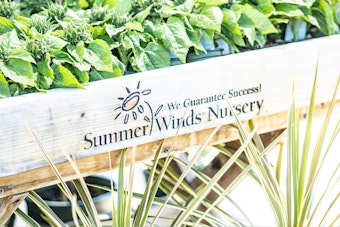 A wooden table with SummerWinds Nursery We Guarantee Success logo etched in it and with plants on and below the table.