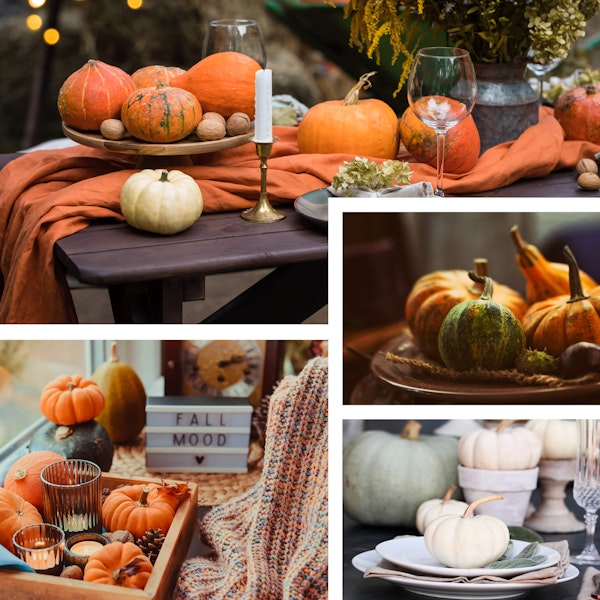 tabletop with pumpkins different ideas and an assortment of pumpkins