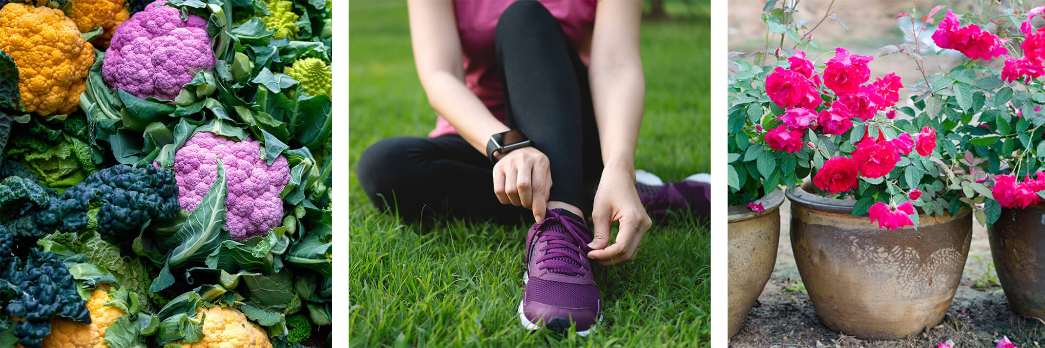 A variety of colorful cauliflowers, a woman in workout gear tying her running shoe while sitting on a lawn, and pink roses in terracotta pots.