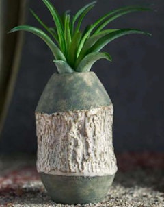 A succulent plant in a textured pot by LiveTrends.