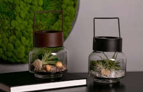 Airplants, rocks and shells in glass and metal hanging containers by LiveTrends.