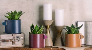 3 snake plants in colorful pots with leather accents by LiveTrends, on a shelf with other decor.