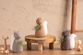3 different squirrels with air plants by LiveTrends on a wooden table.