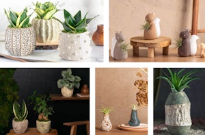 An assortment of houseplants potted in stylish pots designed by LiveTrends and inspired by nature.