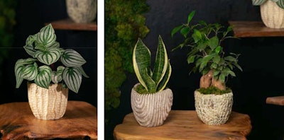 livetrends meta morphic design houseplants with planter