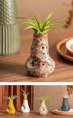 livetrends crimini design with airplants 4 styles