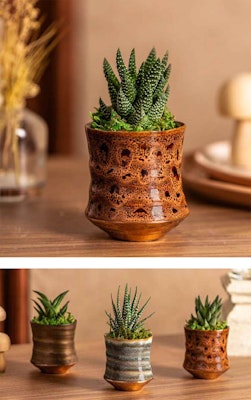 livetrends morel design 3 styles