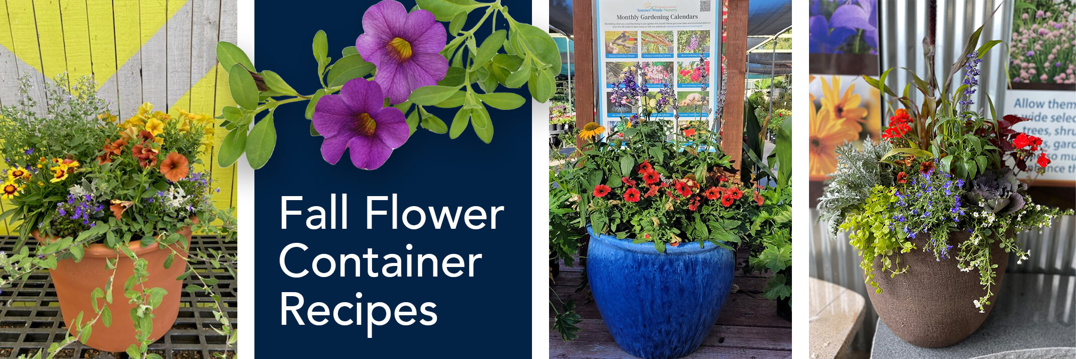 3 different fall flower container displays - one from each SummerWinds Nursery AZ store.
