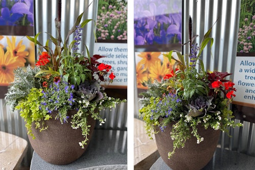2 views of a fall flower container recipe from SummerWinds' Phoenix store.