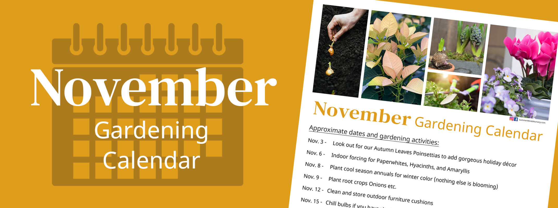 november gardening calendar with tips showing