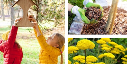 girls filling bird feeder, adding mulch to tree, yarrow