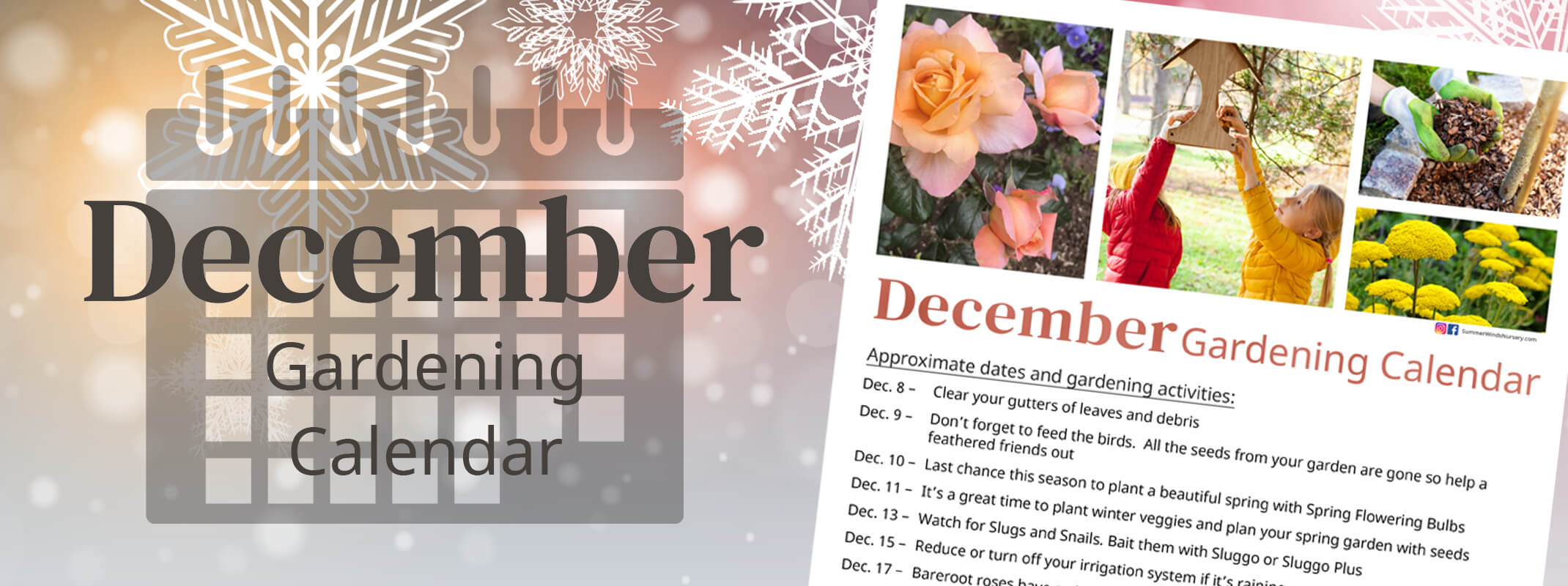december gardening calendar with calendar tips