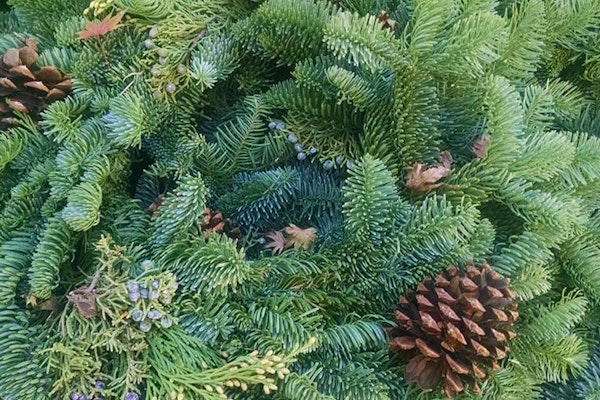 fresh cut greenery with pinecone