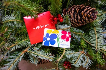 A SW Gift Card displayed on Christmas greenery with berries and a pine cone.