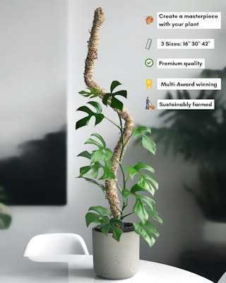 mossify bendable moss pole with product highlights on the images