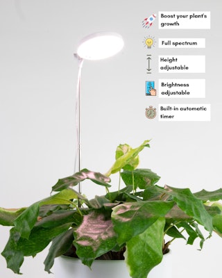 mossify led plant light for houseplant showing product highlights