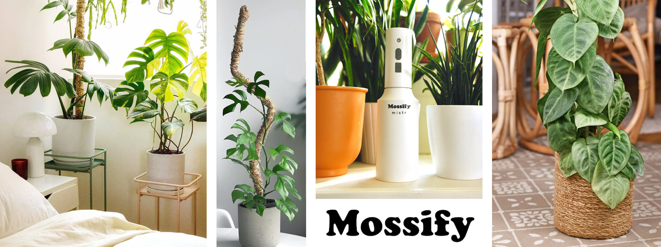 mossify bendable moss poles and mistr for houseplants