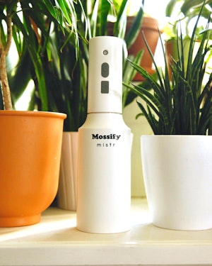 mossify automatic water mistr in the midst of houseplants