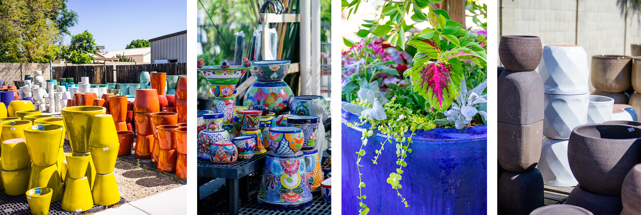 Brightly colored pots, Talavera pots, plants in a blue pot, and white and brown pots of different textures.