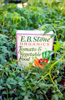 A box of EB Stone Organics Tomato & Vegetable Food surrounded by tomato plants.