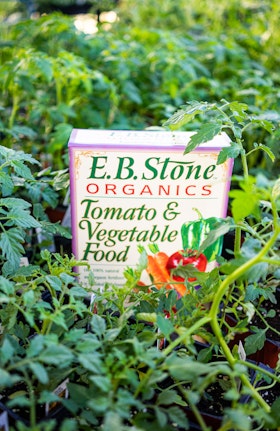 A box of EB Stone Organics Tomato & Vegetable Food surrounded by tomato plants.
