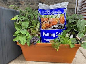 A garden box with veggies and herbs in it, and SummerWinds Nursery Potting Soil.