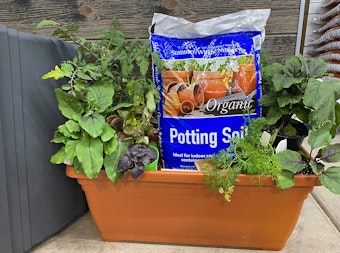 A garden box with veggies and herbs in it, and SummerWinds Nursery Potting Soil.