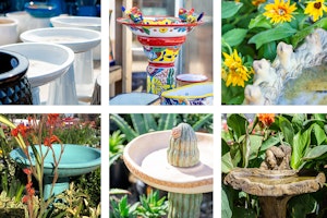 6 different pictures of a variety of birdbaths at SummerWinds Nursery.