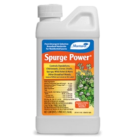 Monterey Spurge Power®