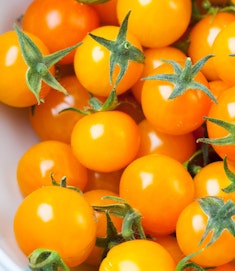 sun sugar cherry tomatoes