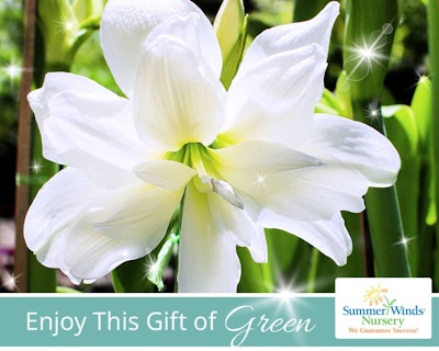 SummerWinds eGift Card - Enjoy This Gift of Green