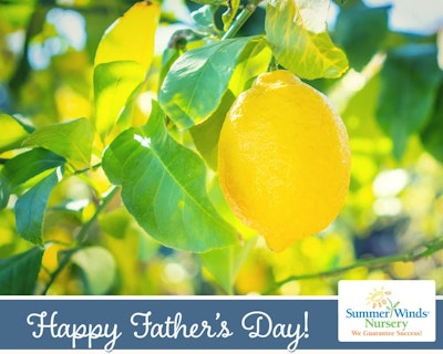 SummerWinds eGift Card - Happy Father's Day