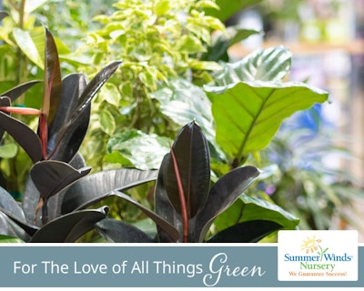 SummerWinds eGift Card - For The Love of All Things Green