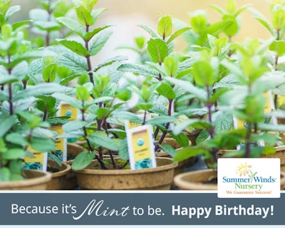 SummerWinds eGift Card - Because it's mint to be. happy Birthday!