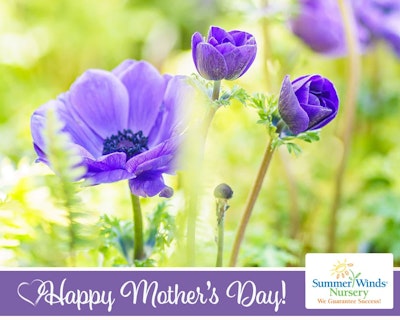 SummerWinds eGift Card - Happy Mother's Day