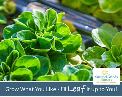 SummerWinds eGift Card - Grow What You Like - I'll Leaf it up to You