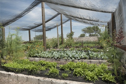 A large shade cloth sturcture over several raised bed vegetable gardens.