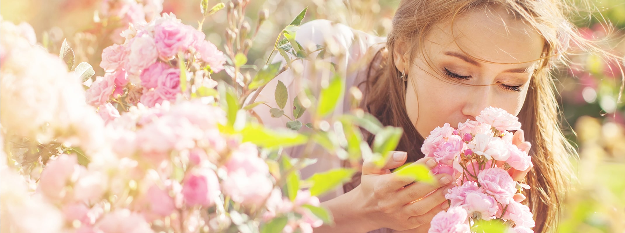 woman smelling pink roses in garden